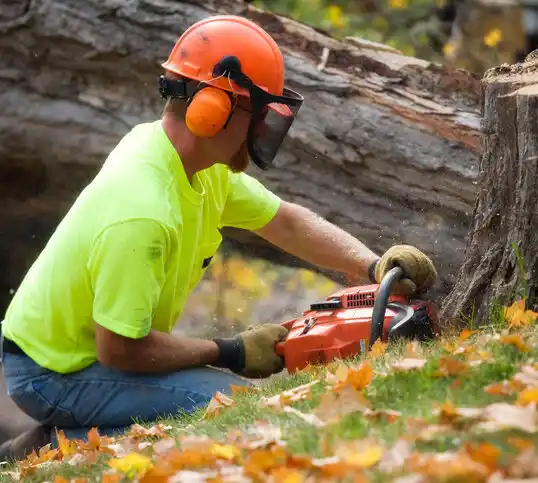 tree services North Creek